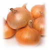 cebula